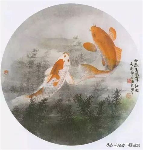 鯉魚圖畫|鯉魚的工筆與寫意畫法，建議收藏！